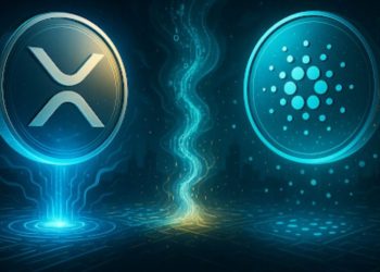 Why Remittix’s Unique PayFi Offering Has Cardano & XRP Whales Circling After $15 Million Is Raised!