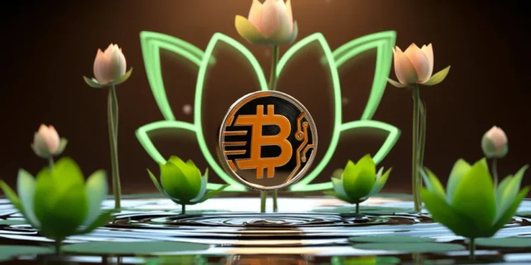 30-Aug Launch: Bitcoin Swift Presale Arrives Alongside Rising Solana and XRP Buzz