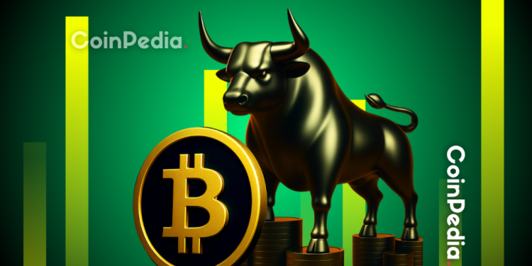 The Top 5 Cryptos That Could Turn $2,000 into $200,000 This Bull Run