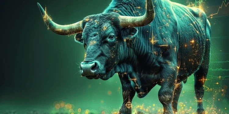 5 Best Altcoins to Invest in Before the Next Bull Run