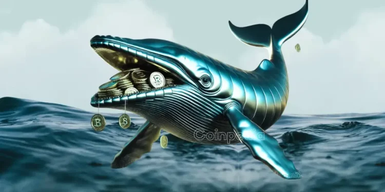 XRP Whales Accumulate 4.07B Tokens, Now Controlling 35% of Supply