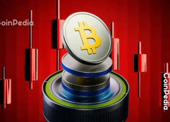 Altcoins Hold Strong as Bitcoin Falls 24% in November 