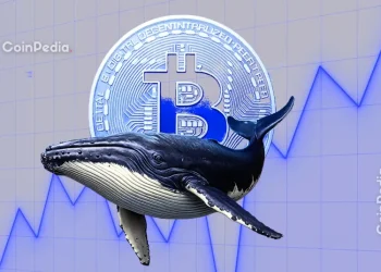 Bitcoin Whales Accumulate BTC as Exchange Supply Falls to 7-Year Low