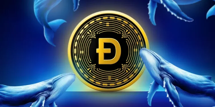 Dogecoin Price Prediction: Whale Buying Surges – Can DOGE Break $0.120?