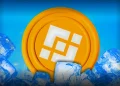 Binance Whale Inflows Hit Four-Month High
